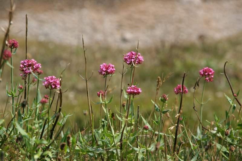 Engeland zuiden (o.a. Stonehenge) - 138